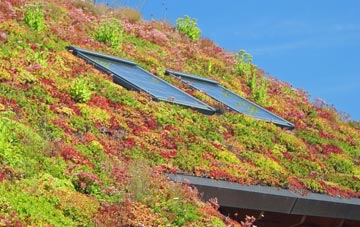 North Broomage living roof systems